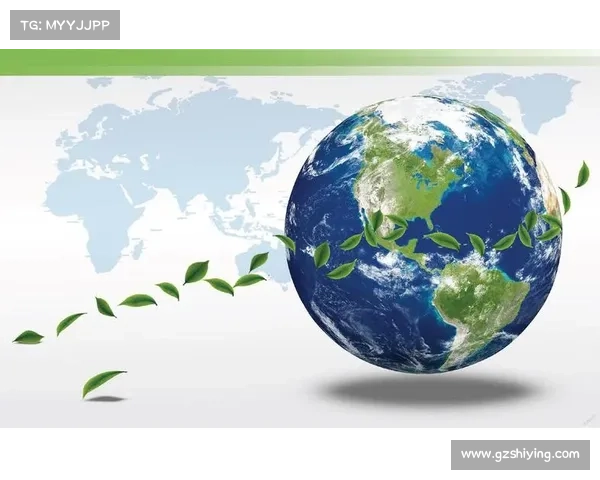 卡鲁耶克视角下全球化中的文化融合与经济互动关系探讨